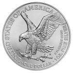 2023 American Silver Eagle 1 oz Coin