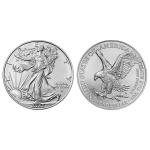 2023 American Silver Eagle 1 oz Coin