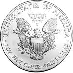 2020 American Silver Eagle Dollar with Certificate of Authenticity