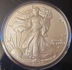 2024 Silver American Eagle Coin in Airtite Capsule