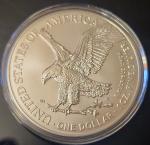 2024 Silver American Eagle Coin in Airtite Capsule