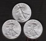 2023 American Silver Eagle 1oz .999 Silver Set
