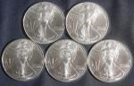 2025 Silver American Eagle Coin Set of 5