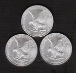 2023 American Silver Eagle 1oz .999 Silver Set
