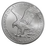 20 American Silver Eagle Coins - $1 Each