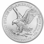 2025 American Silver Eagle Coin - 1 oz Bundle