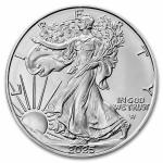2025 American Silver Eagle Coin 1 oz