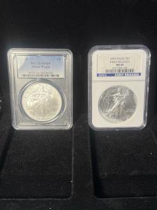 American Silver Eagles 2004 & 2009 MS69 Pair