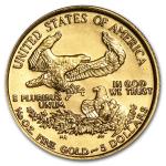 1993 1/10 oz American Gold Eagle Coin