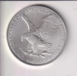 2024 Silver Eagle 1 Oz Coin - $1