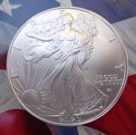 2023 American Silver Eagle Coin - .999 Fine Silver