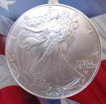 2023 American Silver Eagle Coin - .999 Fine Silver