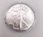2022 American Silver Eagle 1 oz Silver Coin
