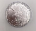 2022 American Silver Eagle 1 oz Silver Coin
