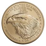 American Gold Eagle - 1oz