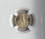 2026 U.S. Mint American Eagle Gold Coin MS 69