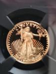 2021 W Gold Eagle G$5 Type 1 PF70 Coin