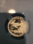 2021 W Gold Eagle G$5 Type 1 PF70 Coin