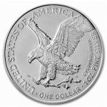 2024 American Silver Eagle Dollar with Certificate of Authenticity