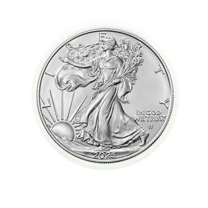 2024 American Silver Eagle .999 Fine Silver Coin