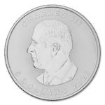 2023 (5) 1 oz Canadian Maple Leaf Silver Coins