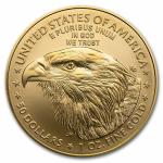 2024 1 oz American Gold Eagle Coin