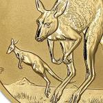 Australian Gold Kangaroo Coin - 1/10 oz BU