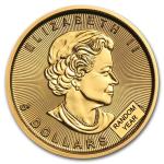 Canada 1/10 oz Gold Maple Leaf Coin