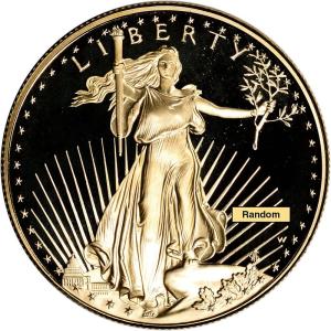 American Gold Eagle 1 oz Proof Coin in Capsule