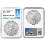 2026 American Silver Eagle NGC MS70 First Label