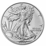 2025 American Silver Eagle Coin - 1 oz Bundle