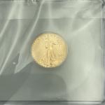2024 Gold Eagle $5 MS70 1/10 Ounce Coin