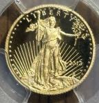 2013-W Gold Eagle $5 PCGS PR70DCAM Coin
