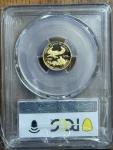 2013-W Gold Eagle $5 PCGS PR70DCAM Coin