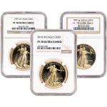 American Gold Eagle Coin 1 oz Proof - NGC PF70