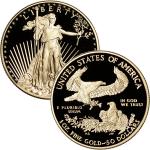 American Gold Eagle Coin 1 oz Proof - NGC PF70