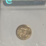 2007 Eagle 1/10 Gold Coin NGC MS69