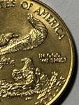 1995 1/2 oz American Gold Eagle Coin