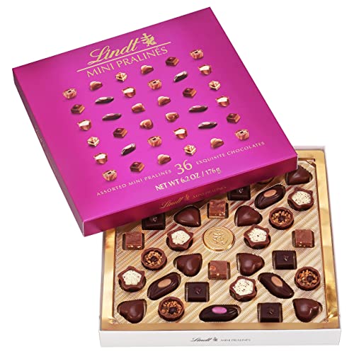 Assorted Lindt Mini Pralines with Premium Filling, 6.2 oz