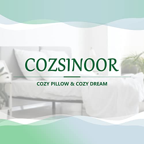 COZSINOOR Cozy Dream Series Pillow Set