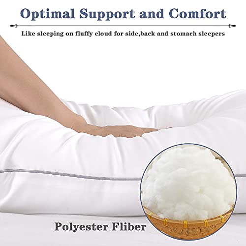 Queen Size Cooling Bed Pillows Set