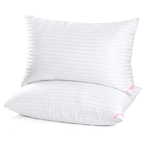 EIUE Hotel Collection Queen Size Pillows - 2 Pack