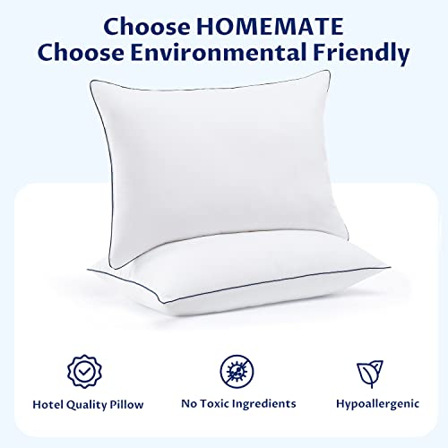 Queen Size HomeMate Pillows - Set of 2