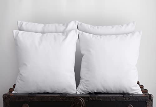 White Decorative Sofa Pillows Set (4)