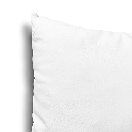 Set of 4 White Pillow Inserts, 18x18