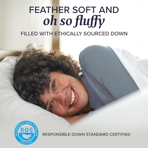 Beckham Hotel Collection 2 Queen/Standard Down Pillows
