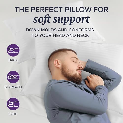 Beckham Hotel Collection 2 Queen/Standard Down Pillows