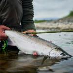 Redington Trout Spey Fly Fishing Field Kit