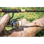 Pflueger President Spinning Reel - Trout Fishing