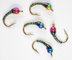 Black Rainbow Zebra Midge Tungsten Nymphs for Trout